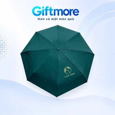 Demo biểu tượng hai chiếc lá trong vòng tròn và tên LAM SON màu vàng nhạt trên một múi xanh đậm
