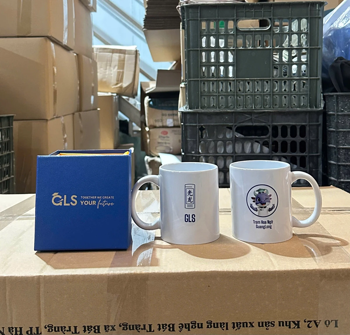 Hai ly sứ trắng in hai mặt nhận diện khác nhau cạnh hộp GLS xanh